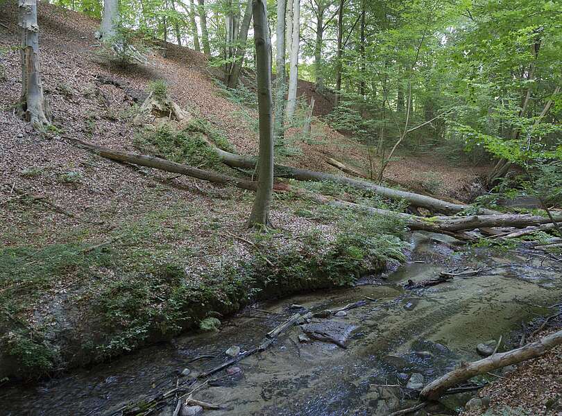 Das Hellmühler Fließ im Biesenthaler Becken