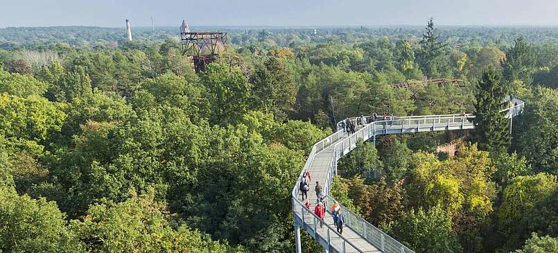 Schöne Aussicht: Brandenburg von oben