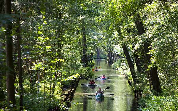 Im Spreewald