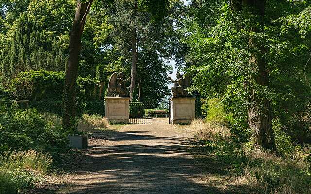 Schlosspark Plaue