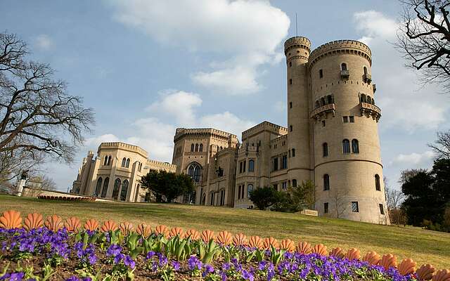 Frühjahrsblüher im Schloss Babelsberg im Babelsberger Park