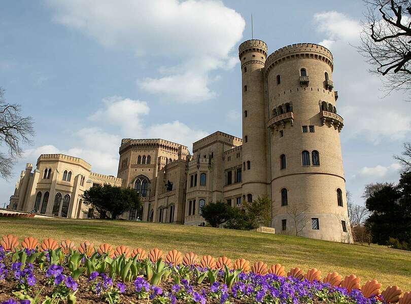 Frühjahrsblüher im Schloss Babelsberg im Babelsberger Park