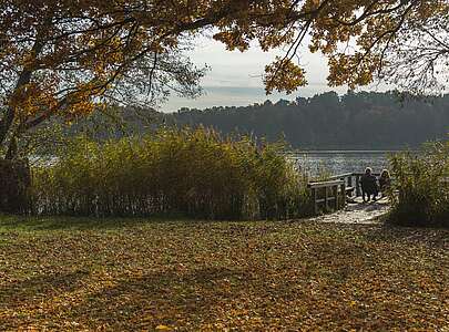 Der Schermützelsee bei Buckow