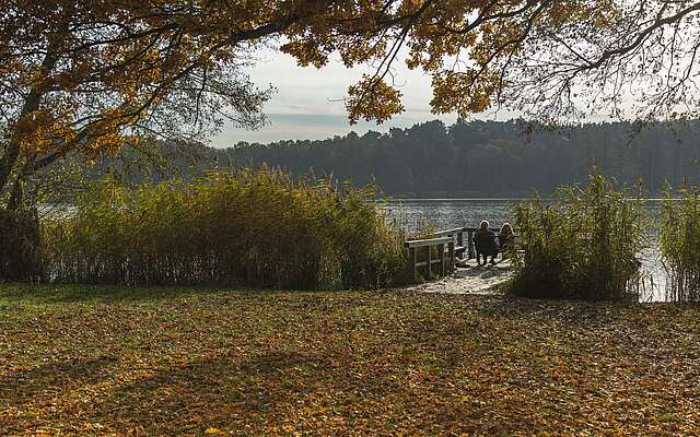 Der Schermützelsee bei Buckow