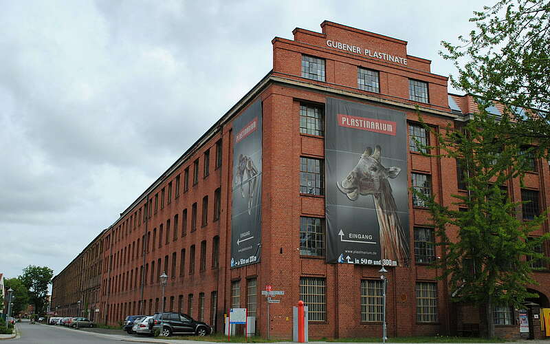



        
            Plastinarium Guben,
        
    

        
            Foto: Marketing und Tourismus Guben e.V.
        
        
    