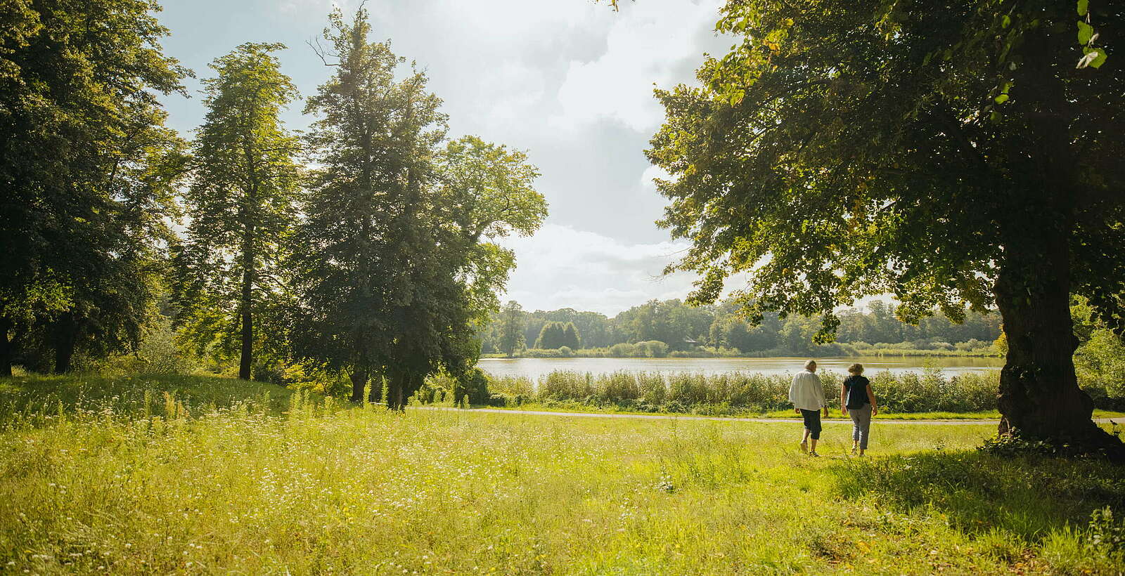 Sommerspaziergang in Petzow,
        
    

        Foto: TMB-Fotoarchiv/Julia Nimke