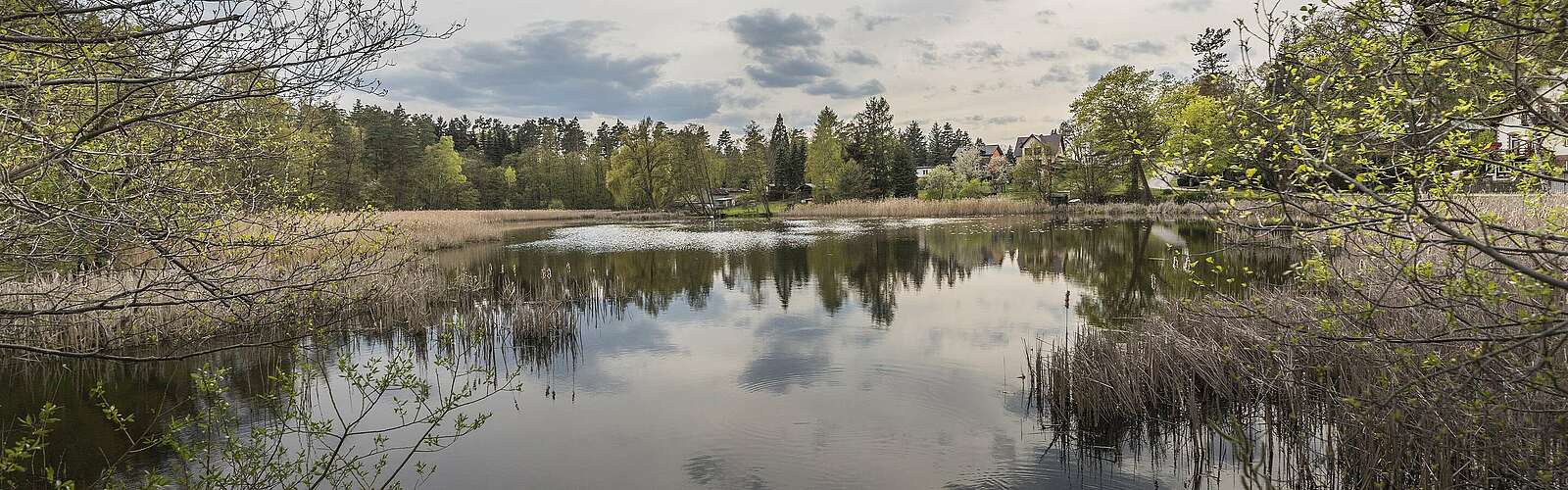 Großer Däbersee in Waldsieversdorf,
        
    

        Foto: TMB-Fotoarchiv/Steffen Lehmann