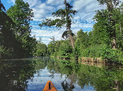 Paddeltour auf dem Galluner Kanal