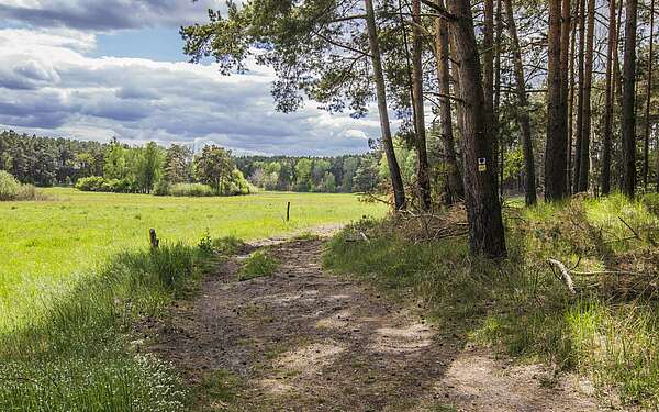 Rundwanderweg bei Biesenthal