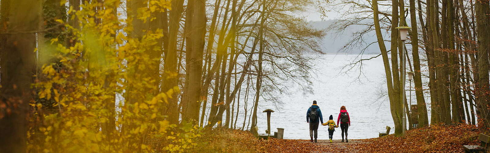Familienwanderung am Stechlinsee,
        
    

        Foto: TMB-Fotoarchiv/Julia Nimke