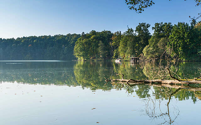 Wirchensee im Naturpark Schlaubetal