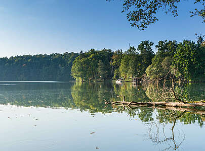 Wirchensee im Naturpark Schlaubetal