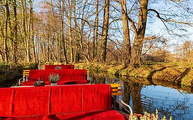 Kaminkahnfahrt durch den Spreewald