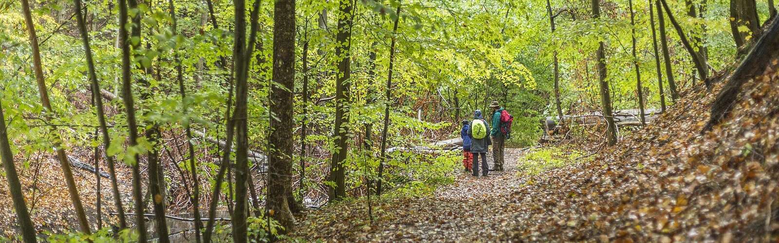 Wandern im Biesenthaler Becken,
        
    

        Foto: TMB-Fotoarchiv/Steffen Lehmann