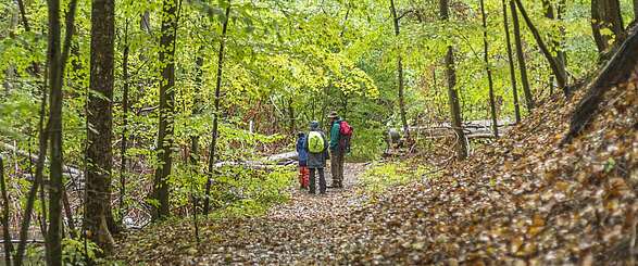 Wanderungen im Naturpark Barnim