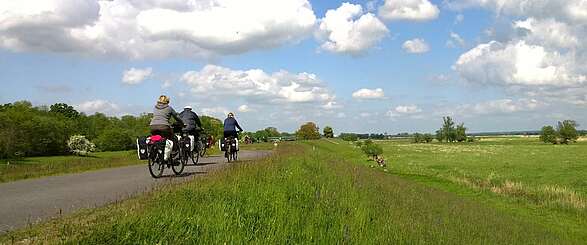 Mit Rad & Bahn nach Schwedt und in den Nationalpark Unteres