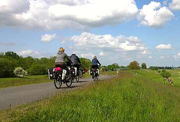 Mit Rad & Bahn nach Schwedt und in den Nationalpark Unteres Odertal