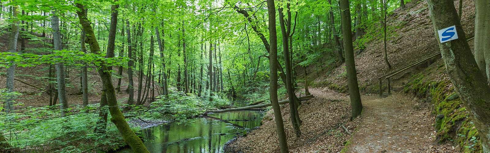 Schlaubetal,
        
    

        Foto: TMB-Fotoarchiv/Steffen Lehmann