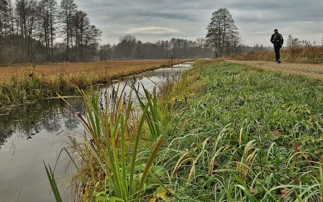 Spaziergänger im Spreewald