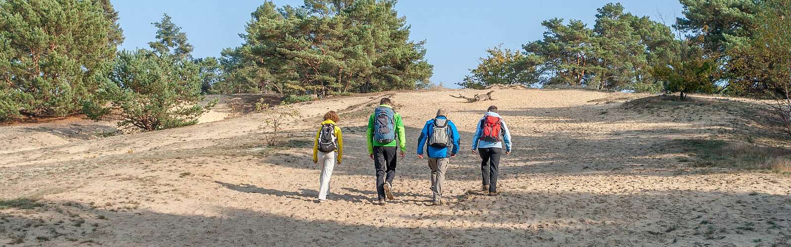 Wanderer auf der Binnendüne bei Storkow,
        
    

        Foto: TMB-Fotoarchiv/Steffen Lehmann