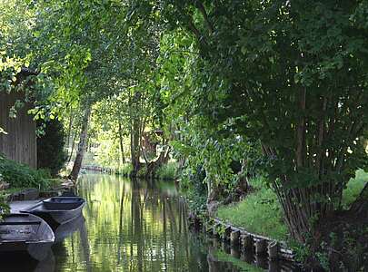 Fließ im Spreewald