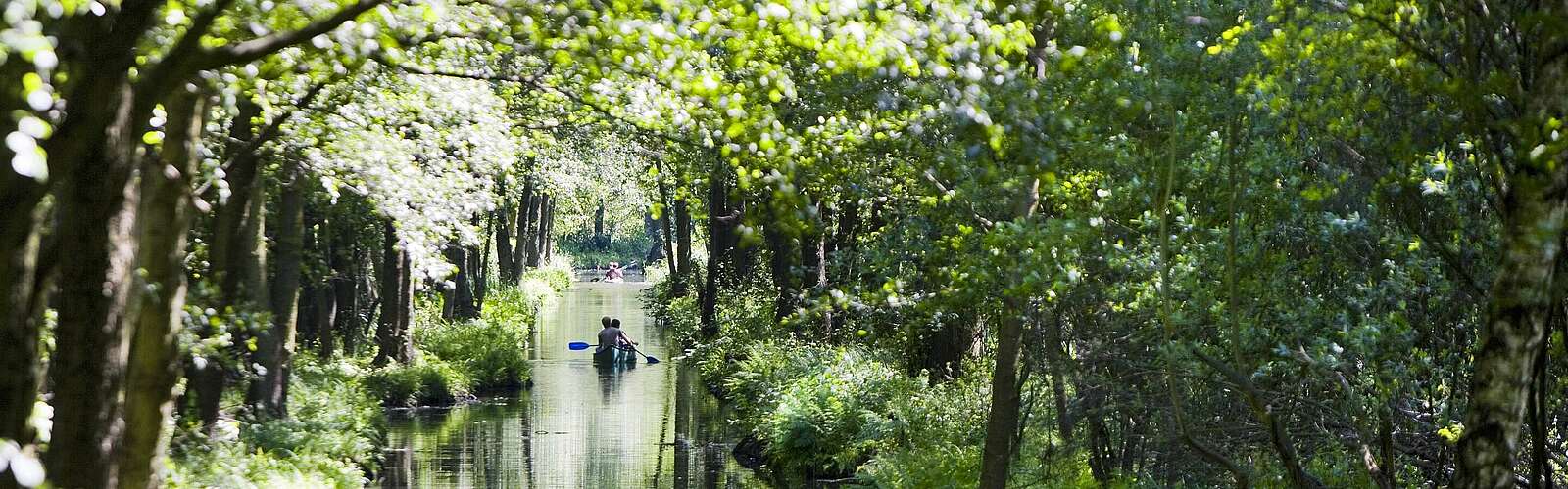 Paddler auf einem Spreewaldfließ,
        
    

        Foto: TMB-Fotoarchiv/Paul Hahn