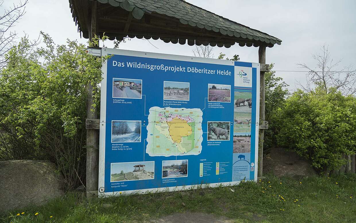 Infotafel in Sielmanns Naturlandschaft Döberitzer Heide