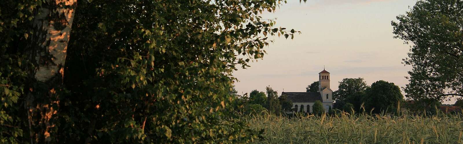 Die Kirche in Wuthenow,
        
    

        Foto: Tourismusverband Ruppiner Seenland e.V./Madlen Wetzel