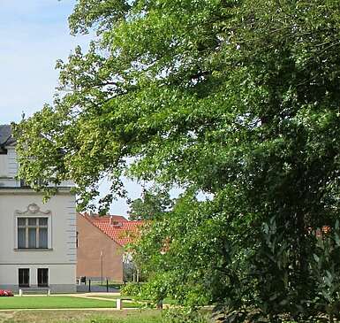 Das Rittergut in Uebigau begeistert mit Frühblühern