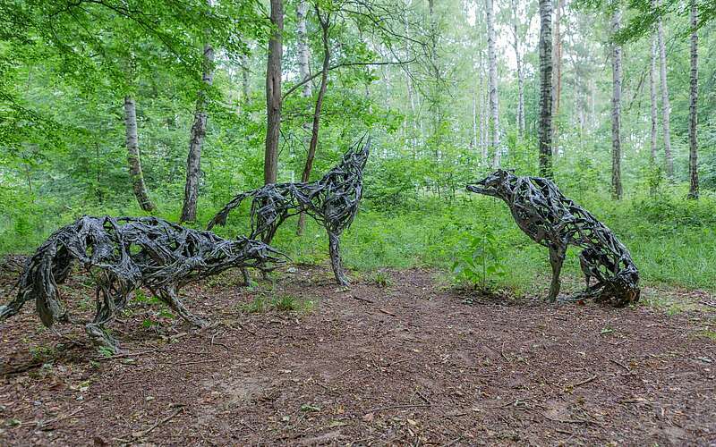 



        
            Wolf-Skulpturen am Kunstwanderweg,
        
    

        Foto: TMB-Fotoarchiv/Steffen Lehmann
    