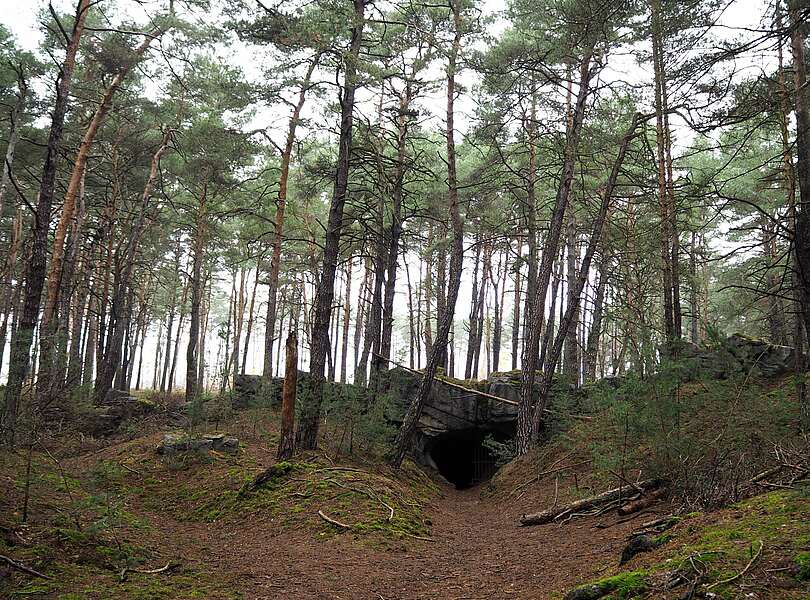 Höhleneingang Saarmunder Wald
