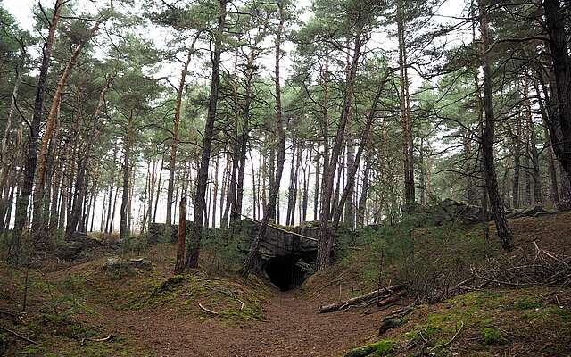 Höhleneingang Saarmunder Wald