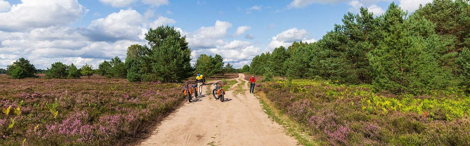 Mit dem Fahrrad durch die Kyritz-Ruppiner Heide,
        
    

        Foto: TMB-Fotoarchiv/Steffen Lehmann