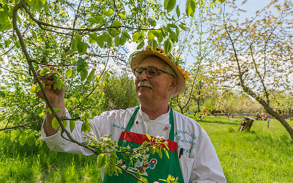 Peter Franke von der Spreewälder Kräutermanufaktur