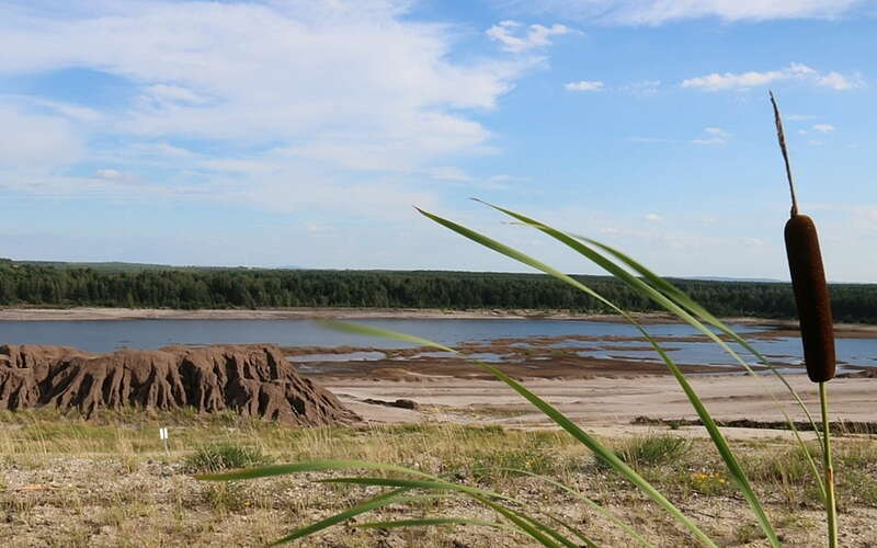 



        
            Grünhauser See,
        
    

        Foto: Nabu/Stefan Röhrscheid
    