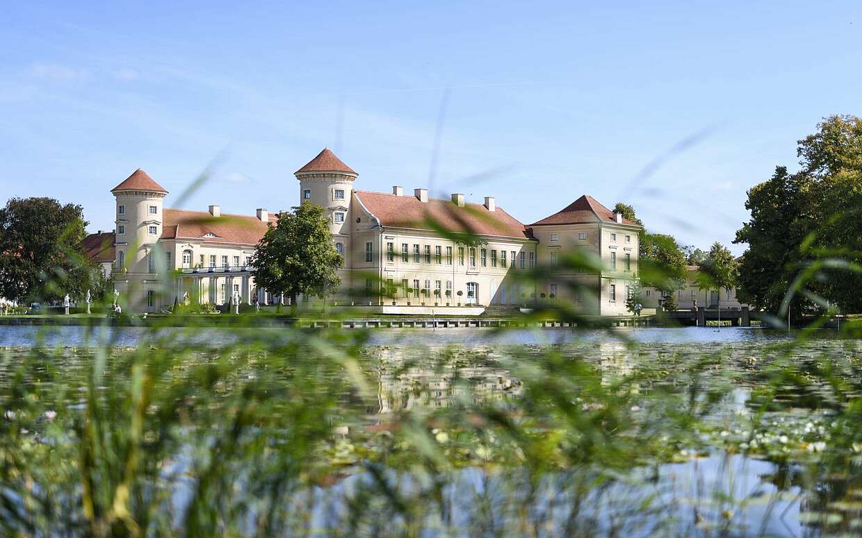 Schloss Rheinberg hinter Schilfhalmen
