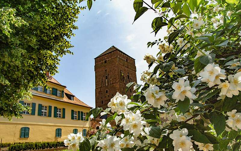 



        
            Alte Bischofsburg Wittstock/Dosse,
        
    

        Foto: TMB-Fotoarchiv/Steffen Lehmann
    