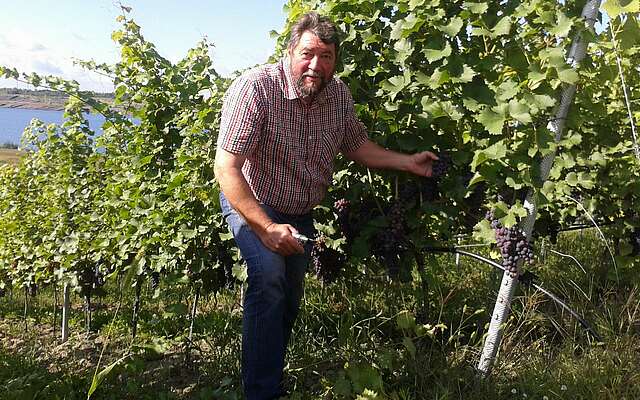 Dr. Andreas Wobar im Weinberg am Großräschener See