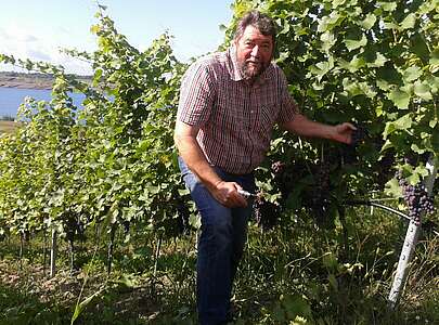 Dr. Andreas Wobar im Weinberg am Großräschener See