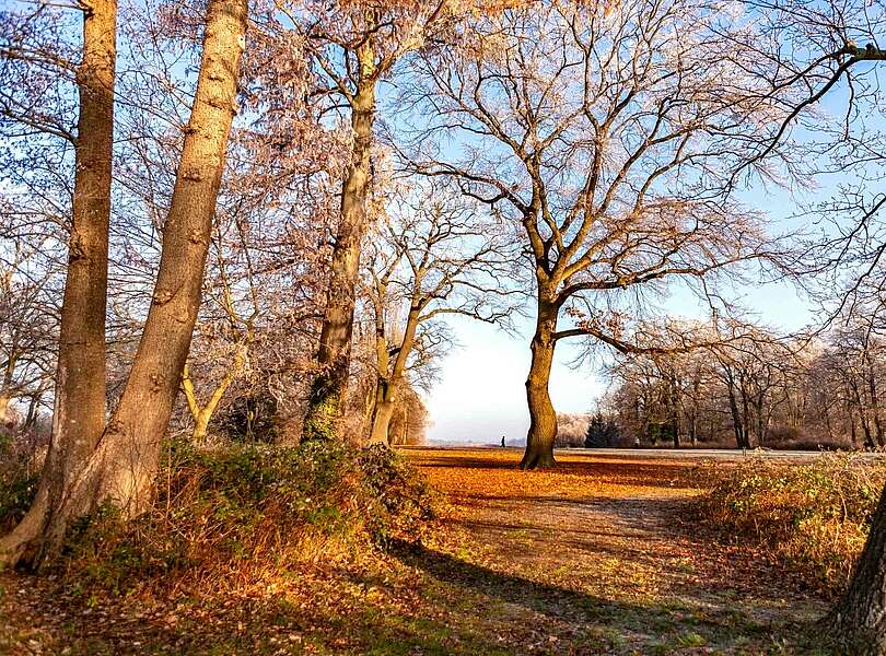 Jogger im Neuen Garten in Potsdam