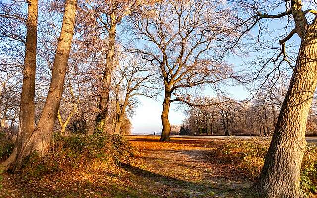 Jogger im Neuen Garten in Potsdam