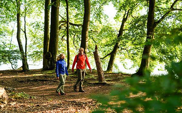 Wanderer im Naturpark Stechlin-Ruppiner Land