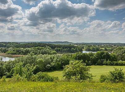 Schorfheide bei Brodowin