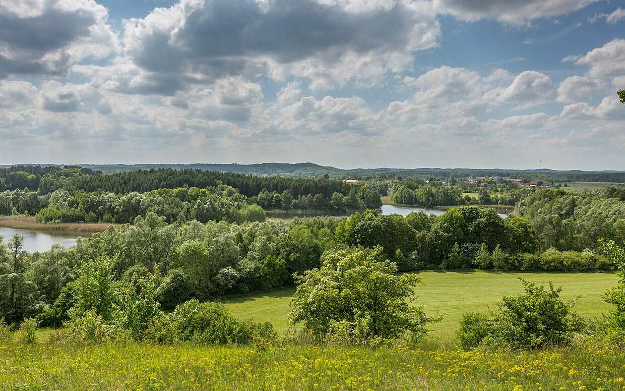 Hügelige Landschaft der Schorfheide im Barnim bei Brodowin