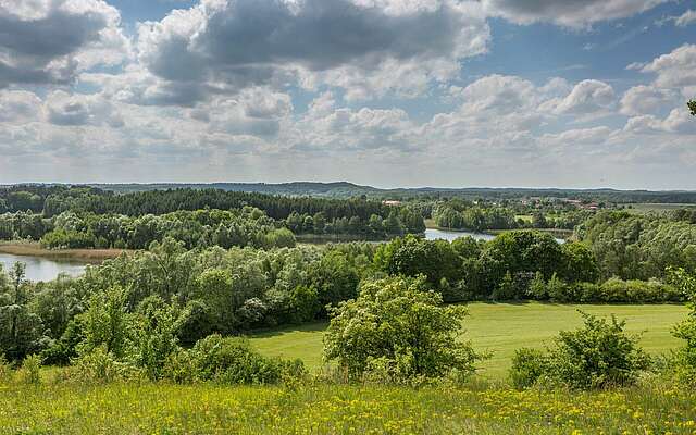 Schorfheide bei Brodowin