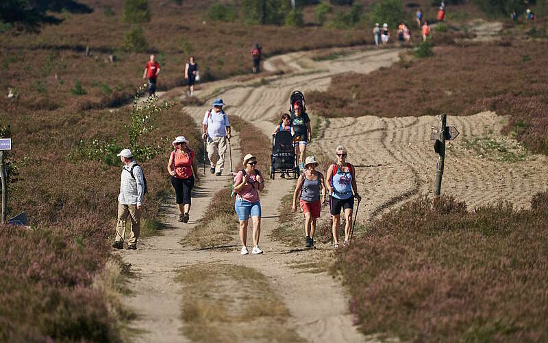 



        
            Fontane-Wandermarathon 2023,
        
    

        Foto: Tourismusverband Ruppiner Seenland e.V./Thomas Janowitz
    