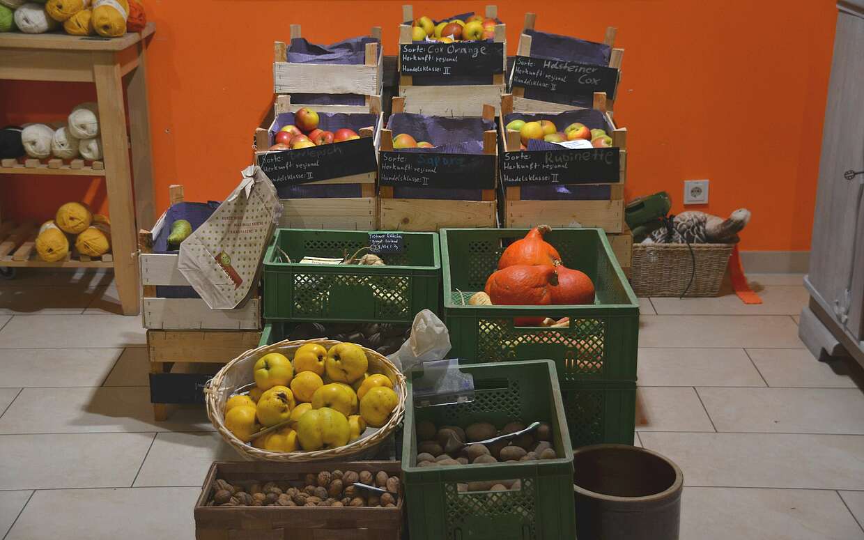 Direkt vom Feld in den Laden: Auch eine Auswahl von Obst und Gemüse gibt es im Q-Regio-Laden in Potsdam.