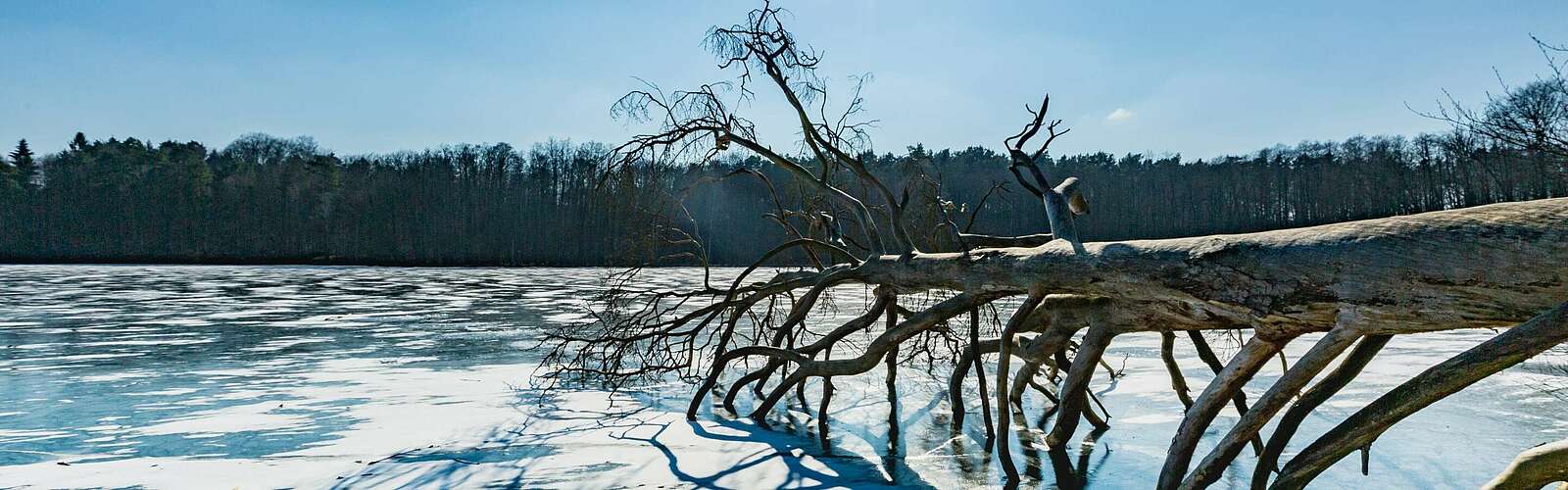 Winterlicher Hellsee im Barnim,
        
    

        Foto: TMB-Fotoarchiv/Steffen Lehmann