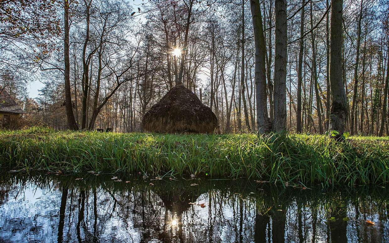 Heuschober im Sonnenlicht