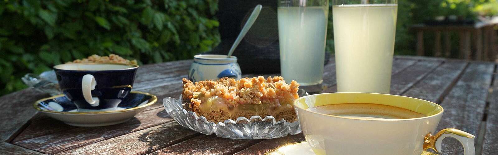 Café im Kräutergarten Kloster Lehnin,
        
    

        Foto: TMB-Fotoarchiv/Jan Hoffmann